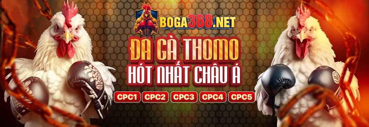 So sánh ứng dụng Xoc88 và phiên bản web